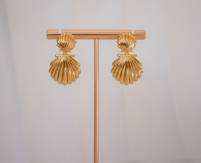 Shell Earrings
