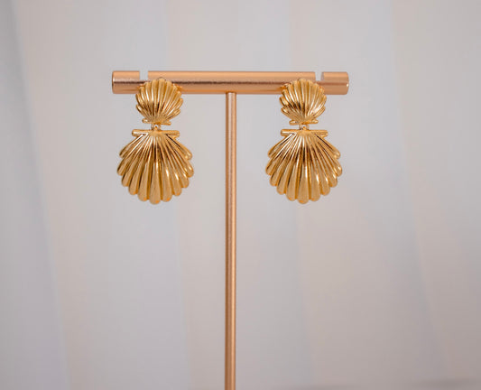 Shell Earrings