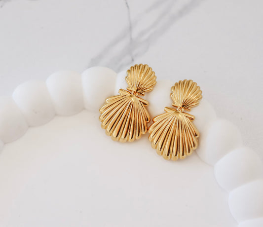Shell Earrings